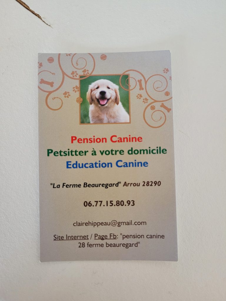 Lire la suite à propos de l’article Pension canine