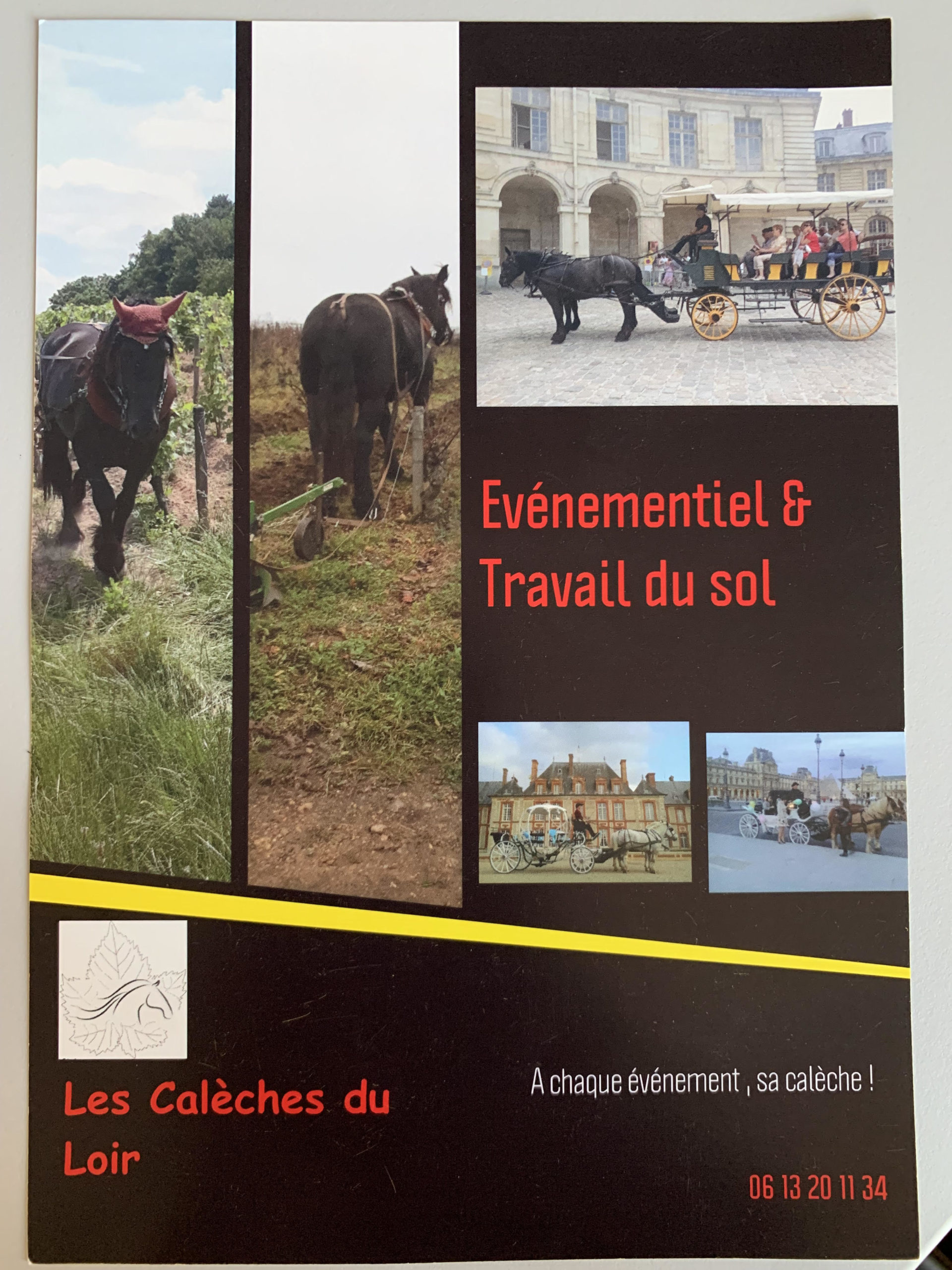 les caleches du loir