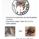 Attila Frelons